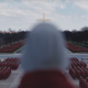 The Handmaids are forming an army of their own.